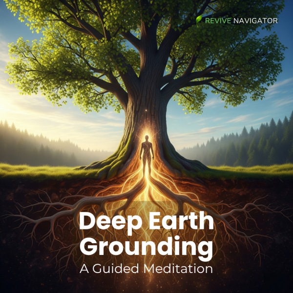 🌿 Rooted: A Grounding Meditation to Feel Safe in Uncertain Times