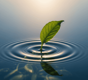 3-Minute Nervous System Reset for burnout and focus